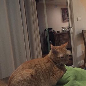 Meet your Posher, Bonnie